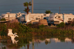 Pioneer RV Park, Port Aransas, TX