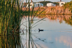 Pioneer RV Park, Port Aransas, TX